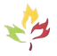 Maple Corporation Logo
